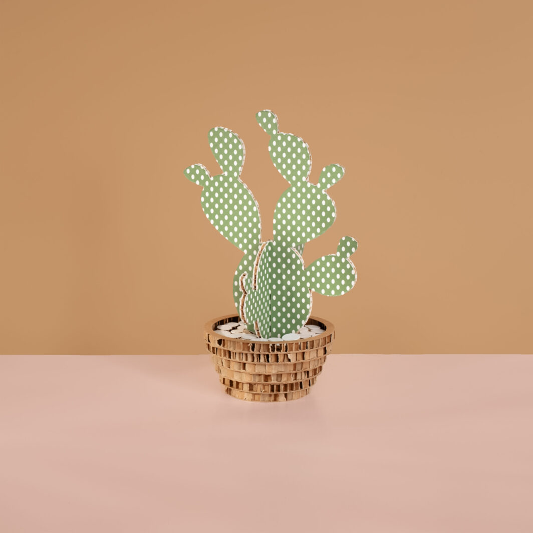 cactus in cartone