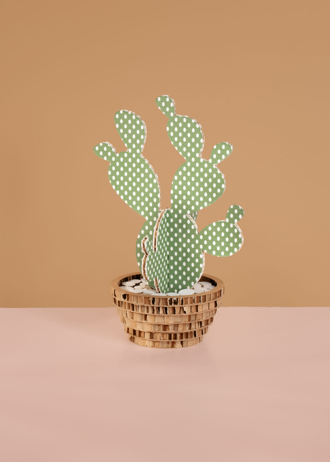 cactus in cartone